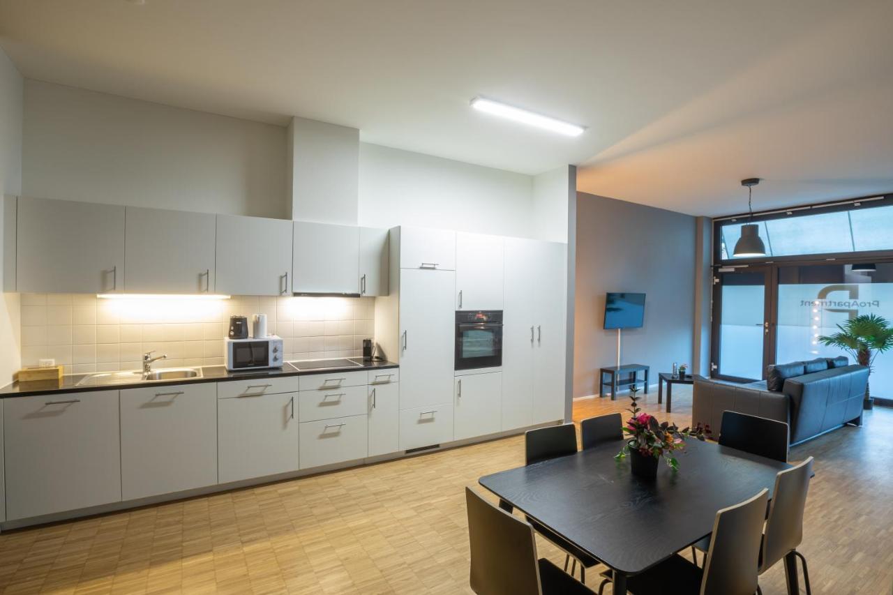 Proapartment Bazylea Zewnętrze zdjęcie